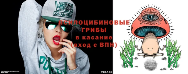 гидра Алексеевка