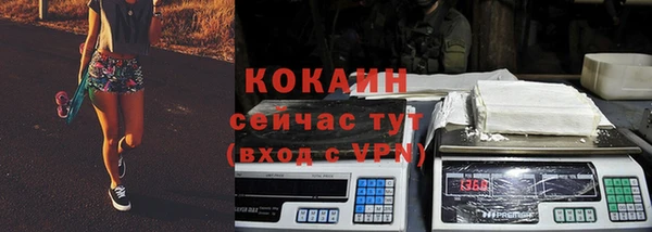 бошки Снежногорск