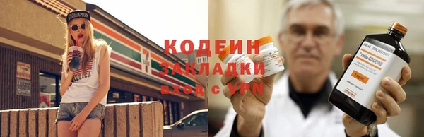 метадон Алексин