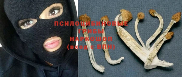 гидра Алексеевка